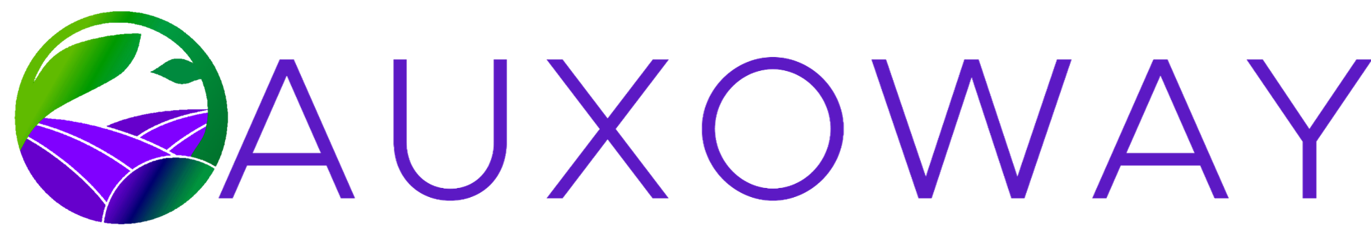 AUXOWAY