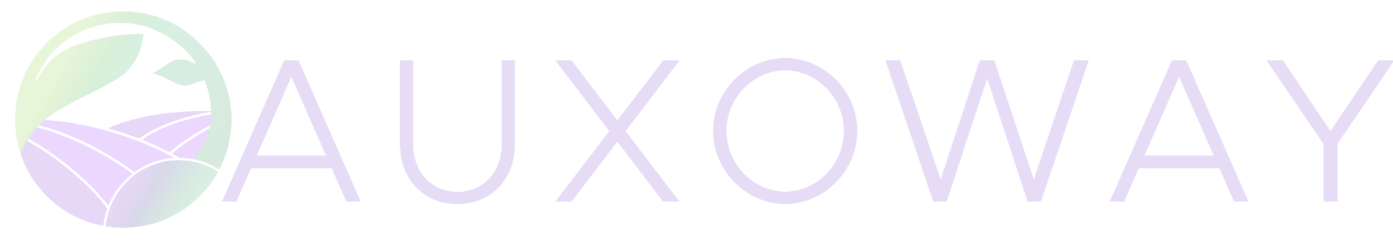 AUXOWAY