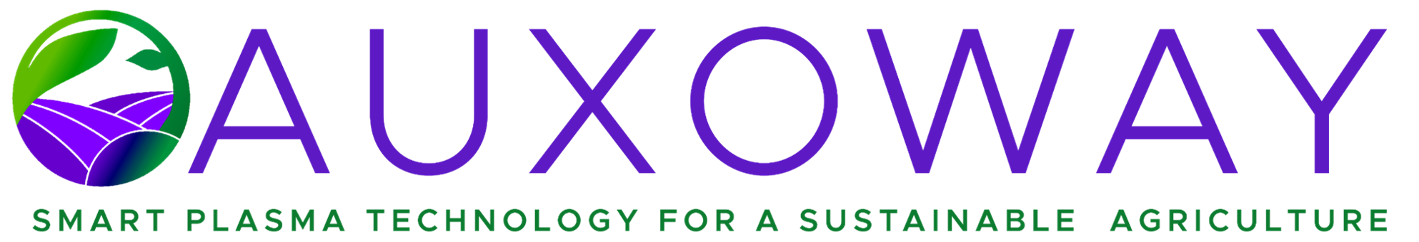 AUXOWAY